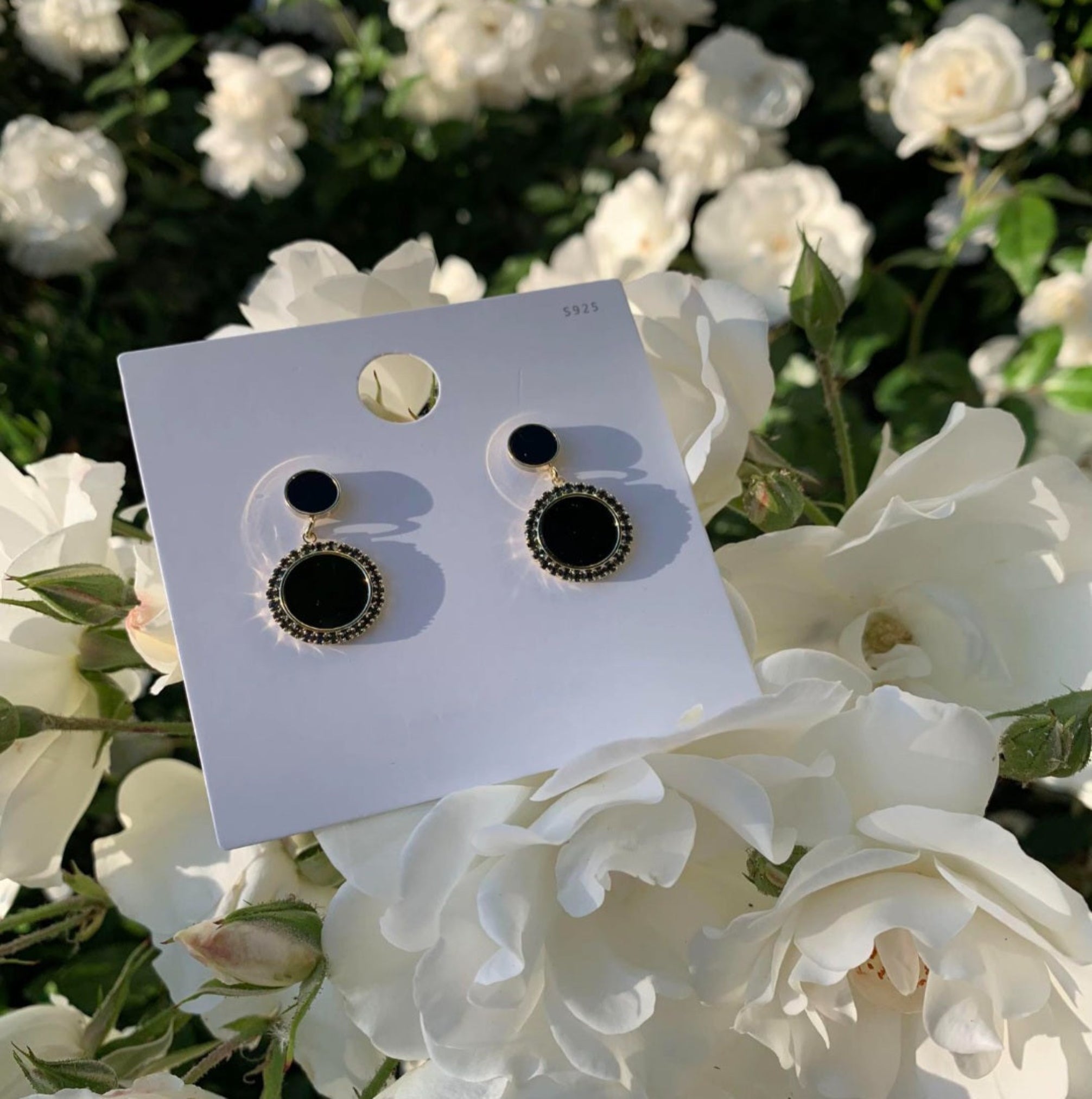 Double Circle Earrings